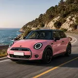 Rouge Powder Pink Vinyl Wrap 12