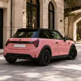Rouge Powder Pink Vinyl Wrap 6