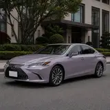 Misty Grey Purple Vinyl Wrap 3