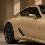 Champagne Gold (Light) Vinyl Wrap 9