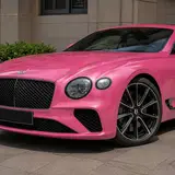Passionate Pink Paint Finish - Bentley Color PPF 8
